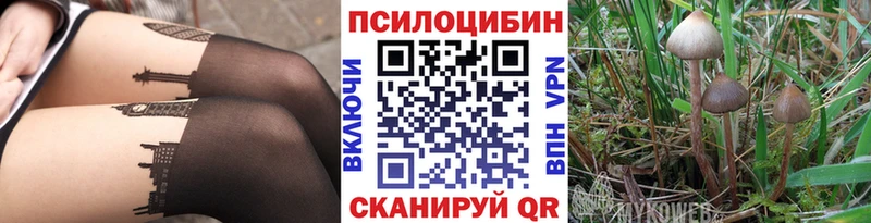 наркошоп  Новопавловск  Псилоцибиновые грибы прущие грибы 