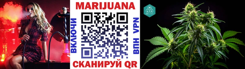 Канабис план Новопавловск
